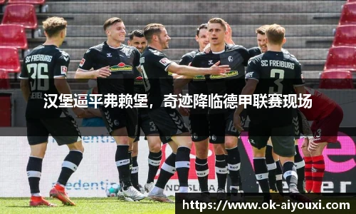 汉堡逼平弗赖堡，奇迹降临德甲联赛现场