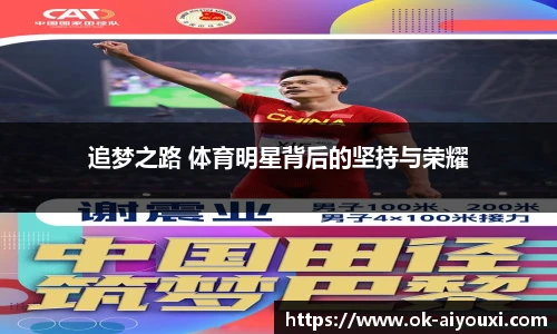追梦之路 体育明星背后的坚持与荣耀